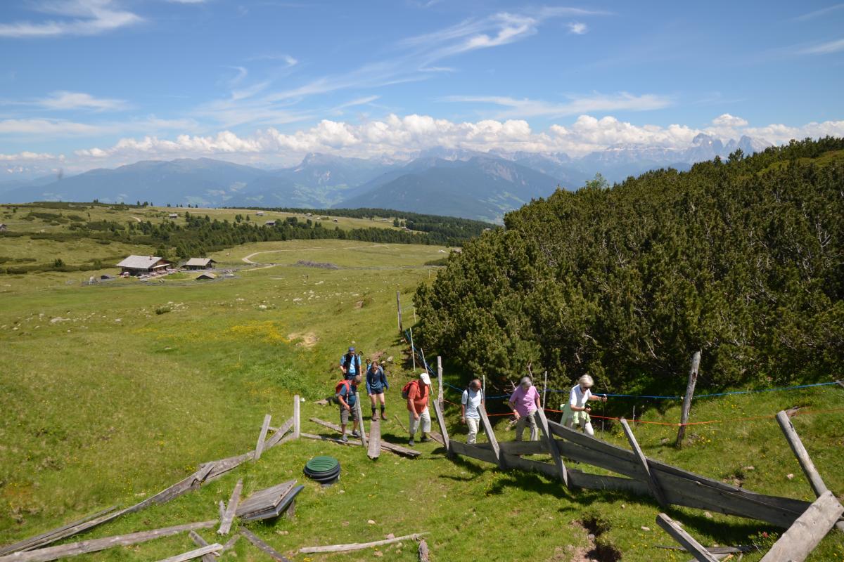 Latschenoelbrennerei und Platzer Alm 06.07.2021